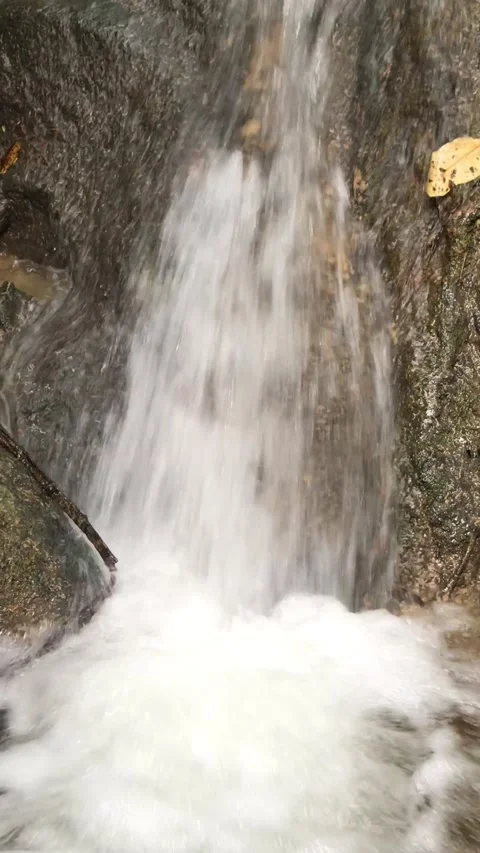 View of beautifull waterfall in deep forest. Stock Footage 144418144