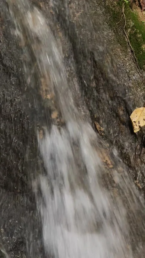 View of beautifull waterfall in deep forest. Stock Footage 144418157
