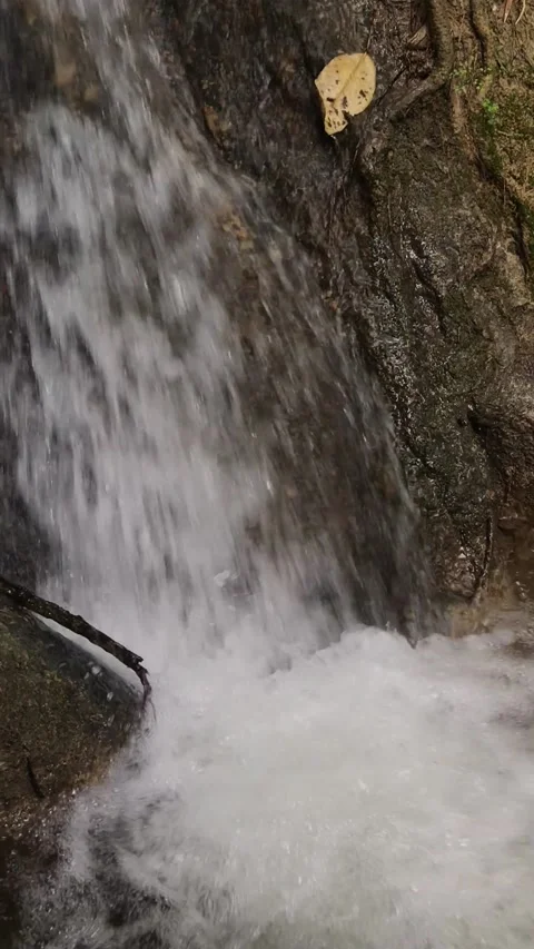 View of beautifull waterfall in deep forest. Stock Footage 144418160