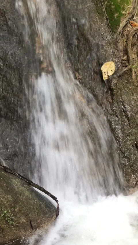 View of beautifull waterfall in deep forest. Stock Footage 144418163