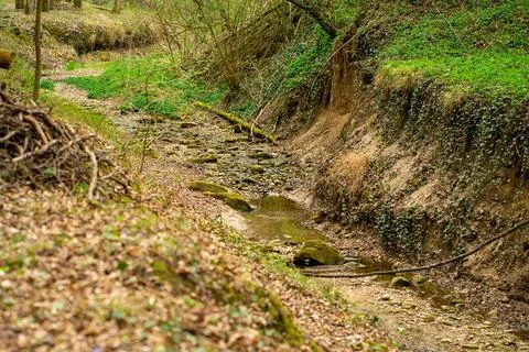View of the bed of a forest mountain stream, dry from the lack of snow and ra Stock Photos