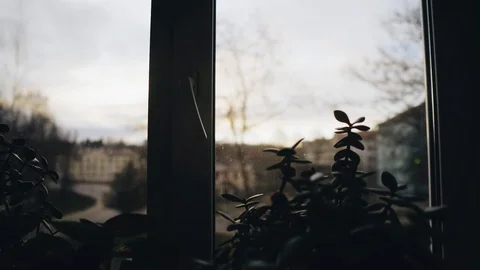 View from the bedroom window at dawn. Beautiful light from the sun Stock Footage 128552264