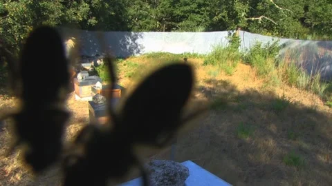 VIEW OF BEEKEEPING PANEL Stock Footage 95038807