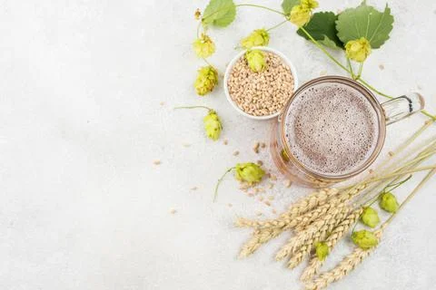 View beer wheat seeds frame Stock Photos