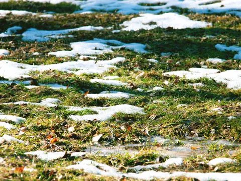 The view of the beginning of the spring in the field. Selective focus. Stock Photos
