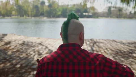 View from behind of an alternative man playing guitar at park Stock-Footage 139274814