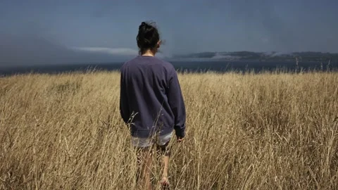 The view from behind from the back of a girl walking through a field of wheat to Stock Footage 232393747