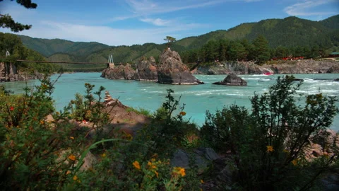 View from behind the bushes on the wild mountain river Katun in Siberia Vídeo Stock 249500618
