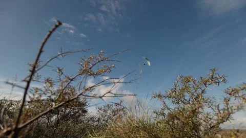 View from behind dune thicket vegetation on Dutch coastline of paraglider in air Stock Footage 325181796