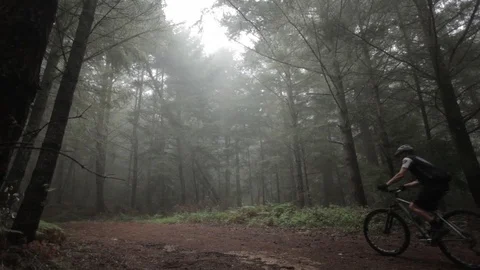 View behind a group of cyclists riding through a misty forest 動画素材 91277190