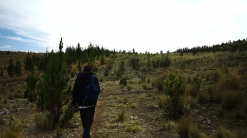 View from behind of a man walking on a trek through the mountain among bushes Video stock 164597020