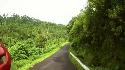 View from behind the scooter driver on a rural road while riding in Bali Video stock 133573028