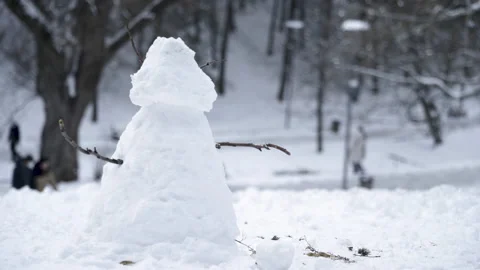 View from behind a snowman Stock Footage 166696845