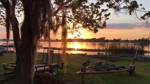 View behind tree of sunset over lake Vídeos de archivo 73356397