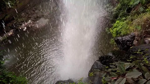 View From Behind Waterfall Over Cascade Pool Surrounded by Tropical Vegetation Stock Footage 340867774