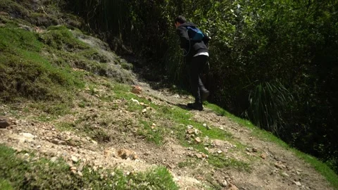 View from behind of a white man in black clothes and backpack hiking through the Stockbeeldmateriaal 164592787