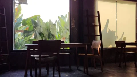 The view from behind the window, green leaves blown by the wind Stock Footage 252016007