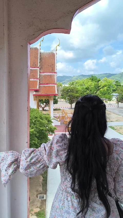 View from Bell tower Stock Footage 281712839