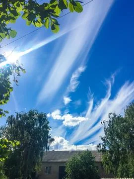 View from below the branches of a tree on the white clouds against the blue sky Stock Photos