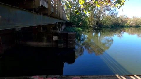 A view below a bridge at the river in the Fall Stock Footage 143657643