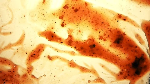View from below as a cooking brush smears ketchup with herbs for cooking steak Stock Footage 122650023