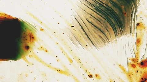 View from below as a cooking brush smears ketchup with herbs for cooking steak Stock-Footage 122655484
