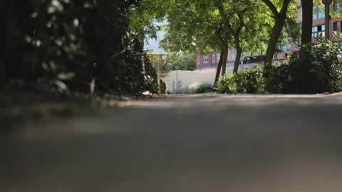 View from below. Cyclists ride in the park in the background. Slow Motions. 4 Stock Footage 287588956