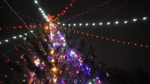 A view from below of an elegant Christmas tree decorated with glowing multi.. Foto stock