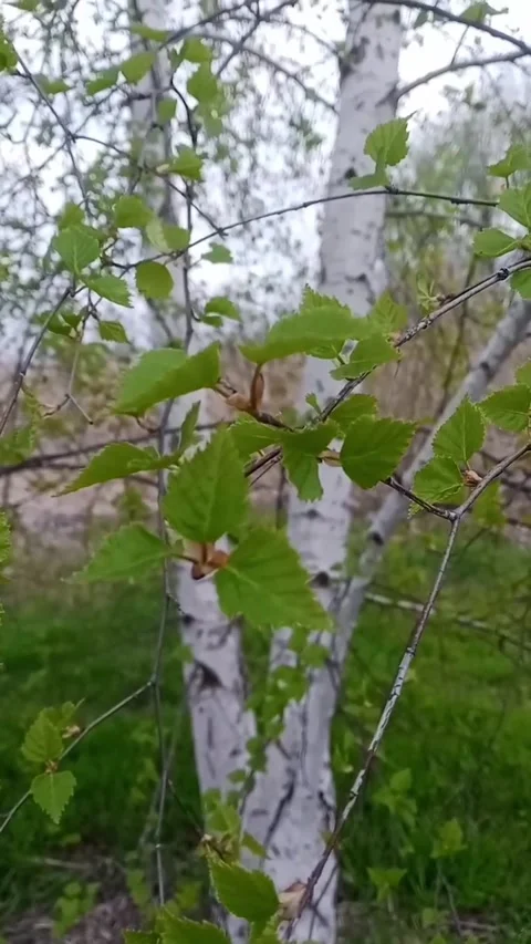 View from below Video stock 334920125