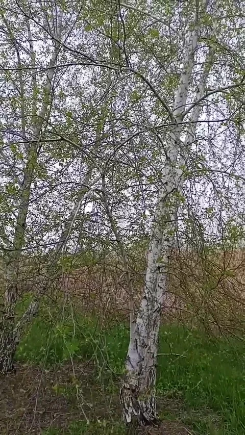 View from below Video stock 334920203