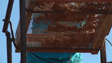 View from below looking up at an archaeological sifter being shaken to Stock Footage 100633309