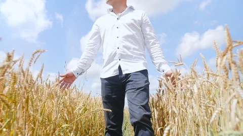 View from below of a man walking in a wheat field feeling something like a force Video stock 113879575