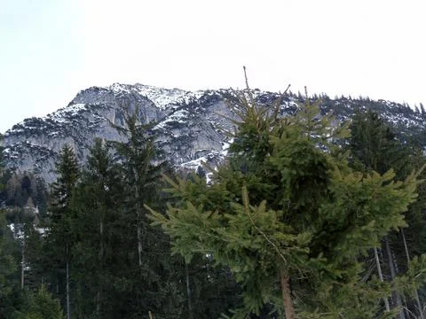 The view from below of the mountain range is covered with snow and dense forest Stock Photos