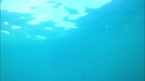 View from below the ocean Stock Footage 175473364