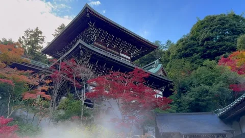 View from below of an old Japanese temple, with trees with red leaves and m.. Stock Footage 302535153