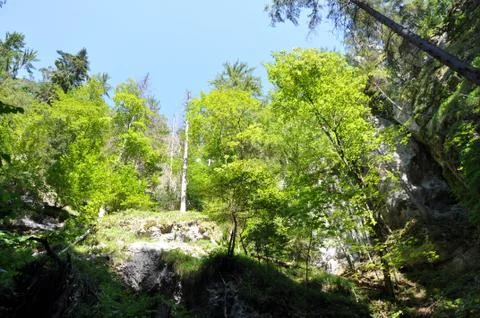 View from below Stock Photos