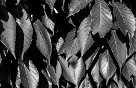 View From Below Stock Photos