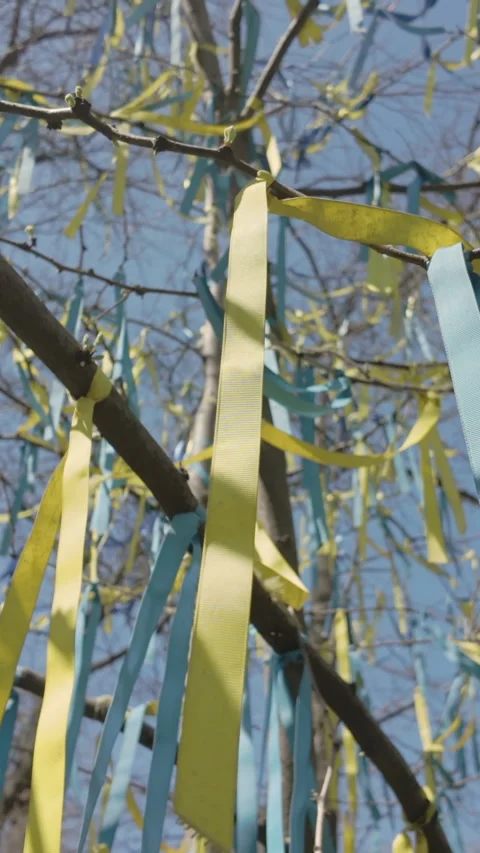 View from below on set of yellow and blue ribbons, symbolising flag of Ukraine, Stock Footage 333920258