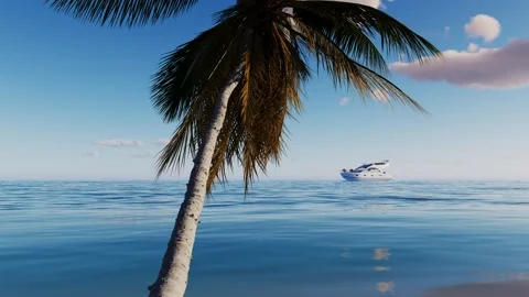 View from below of the sky with the sun and tropical palm trees. Stock Footage 322935307