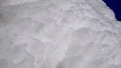 View from below snowy branches in sunlight Stock Footage 318541295