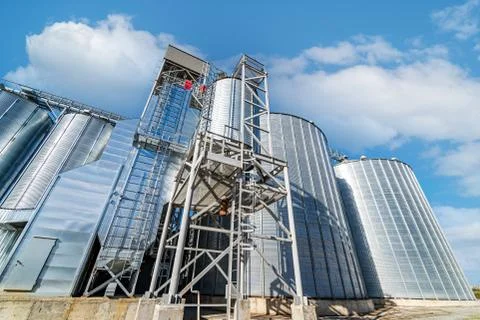 View from below on steel grain elevators. Modern up to date factory. Selectiv Stock Photos