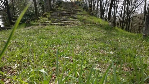 View from below on the stone stairs in the park Stock Footage 97697674