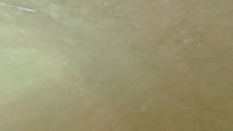 A view from below of the surf on an Atlantic Ocean beach under a blue sky. Stock Footage 328371728