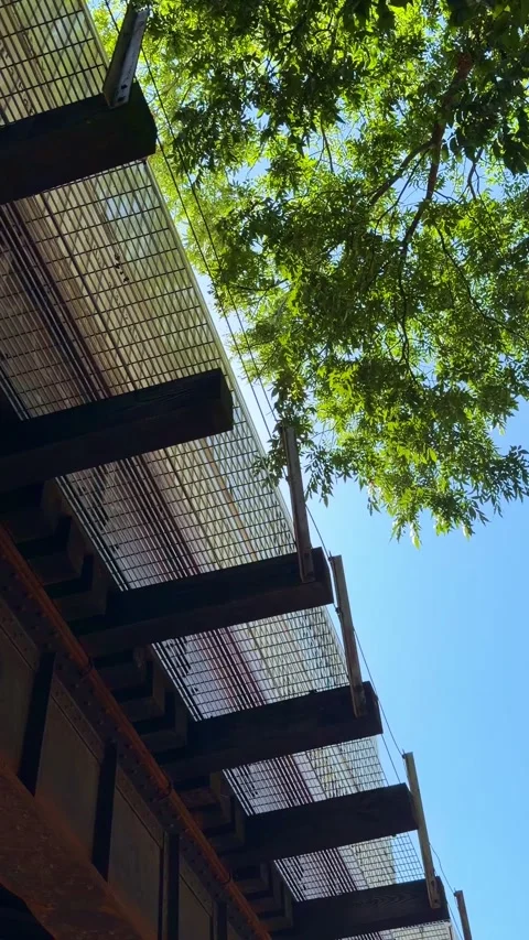 View from below of a train passing over a bridge Stock Footage 342193744