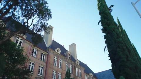 The view from below is a wide angle to a larger castle with palm  Stock Footage 168955563