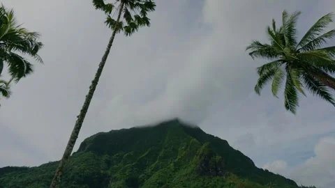 View of belvedere mountain in Moorea while driving in slow motion Stock Footage 308691785