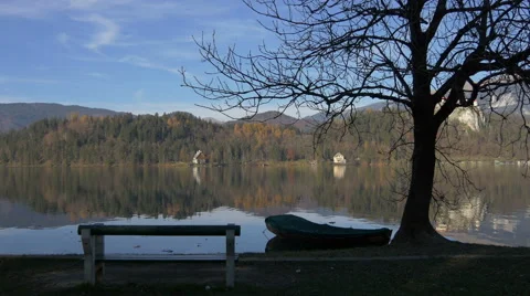 View of a bench and a moored boat near a tree on the lake shore in Bled Stock Footage 59824484