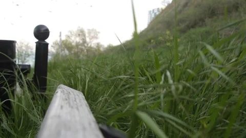 View from the bench, in the background swaying green grass, spring, trees  스톡 동영상 107444822