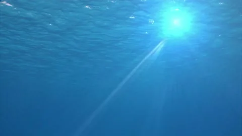 The view beneath the surface of the blue ocean Stock Footage 138551142