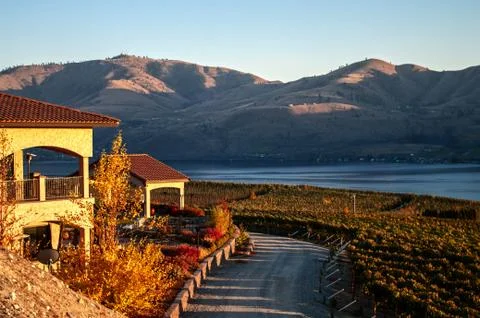 A view of the benson vineyard Stock Photos